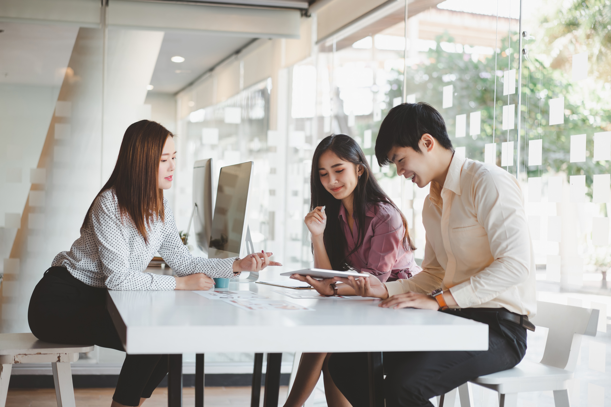 Transform Your Workplace with IAL’s Expertise