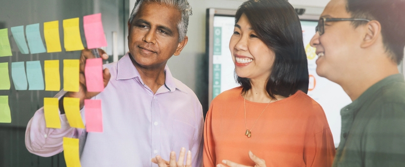 Skills Utilisation in Singapore